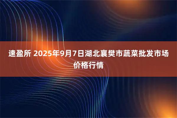 速盈所 2025年9月7日湖北襄樊市蔬菜批发市场价格行情