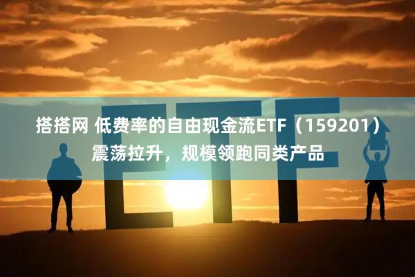 搭搭网 低费率的自由现金流ETF（159201）震荡拉升，规模领跑同类产品