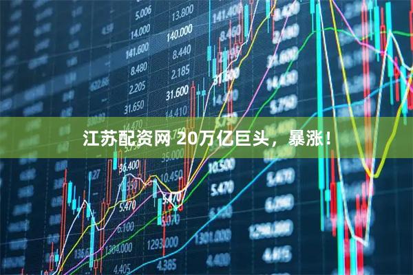江苏配资网 20万亿巨头，暴涨！