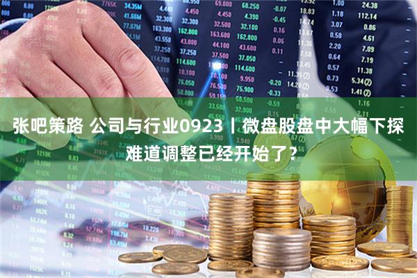 张吧策路 公司与行业0923丨微盘股盘中大幅下探 难道调整已经开始了？
