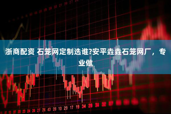 浙商配资 石笼网定制选谁?安平垚垚石笼网厂，专业做