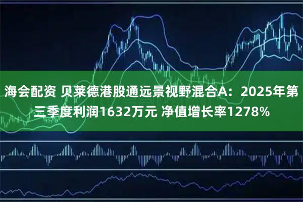 海会配资 贝莱德港股通远景视野混合A:2025年第三季度利润1632万元 净值增长率1278%