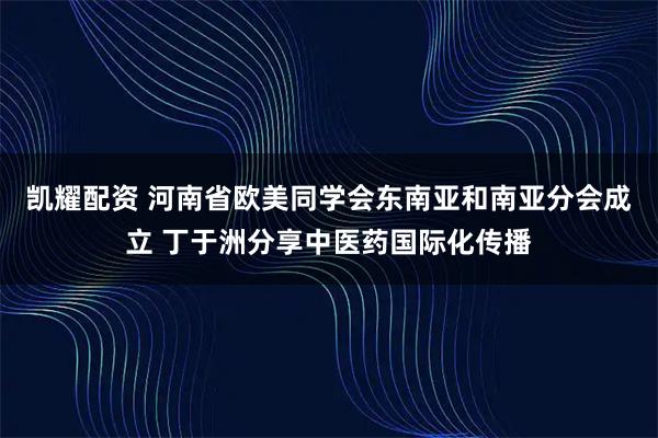 凯耀配资 河南省欧美同学会东南亚和南亚分会成立 丁于洲分享中医药国际化传播